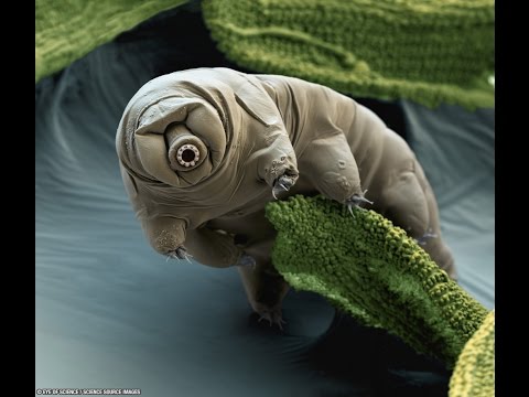 VRSpies Exposed 26 - BIG ANNOUNCEMENT with the WHOLE TEAM - July 24th 2016