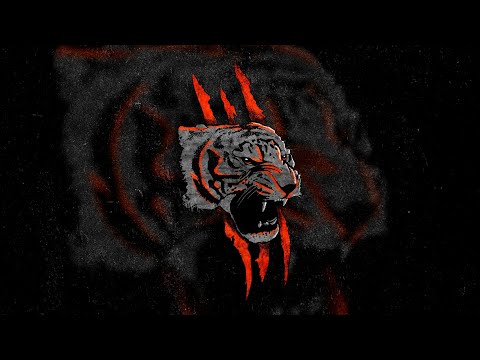 "Tiger" Beat de Funk (Oldilla x Fepache)