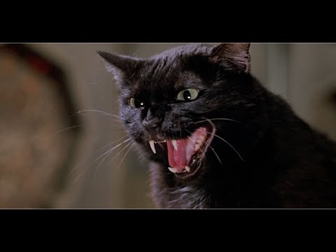 Team America Shebas Scene