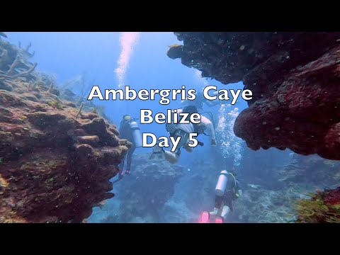 Grové Family in Belize 08/04/2022 Day 5 SCUBA Diving