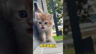 Download lagu My cute brother and sisters. A beautiful moment #351 - #shorts mp3