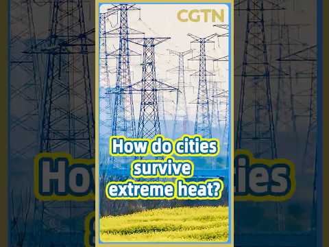 How do cities survive extreme heat?