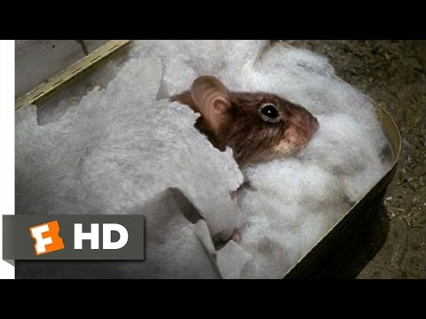 Mousehunt (2/10) Movie CLIP - Sleeping Mouse (1997) HD