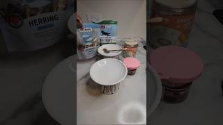 Feed my cats leftover 🍽 #asmr #asmrcat #catshorts #cat #catfeeding #catfood #cateating #youtube #fyp