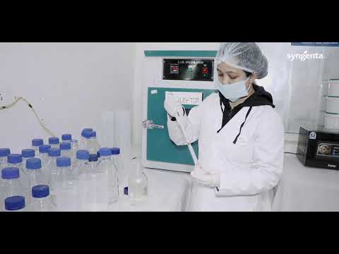 Syngenta RISQ Test | Grower Testimonial | Moga | Punjab