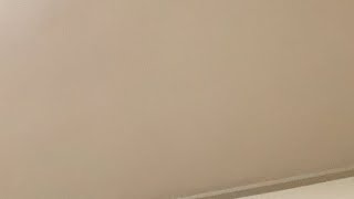 朝倉未来vs斎藤裕　大雅勝ったからのむ！【rizin25】