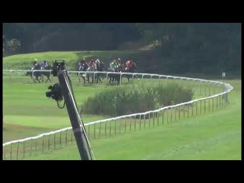 KV, 4. 8. 2019, 3. dostih - Memoriál ing. Jiřího Chaloupky - dostih FEGENTRI ŽEN