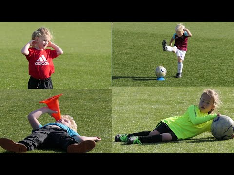 VVOG Harderwijk  : Open dag Dolfijntjes