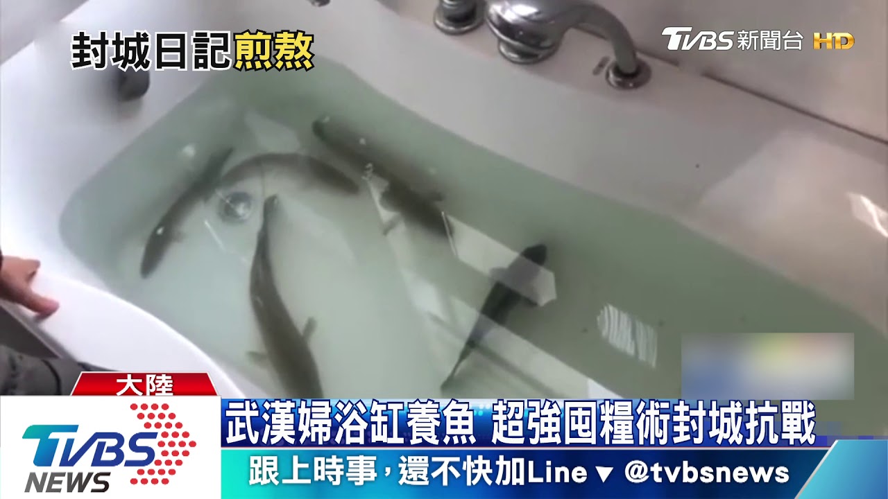 武漢婦浴缸養魚 超強囤糧術封城抗戰