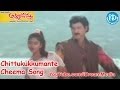 Chittukukkumante Cheema Song Ammo Bomma Movie Songs Rajendraprasad Uma Shankari