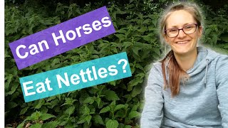 Can horses eat nettles? | Plants and herbs for horses