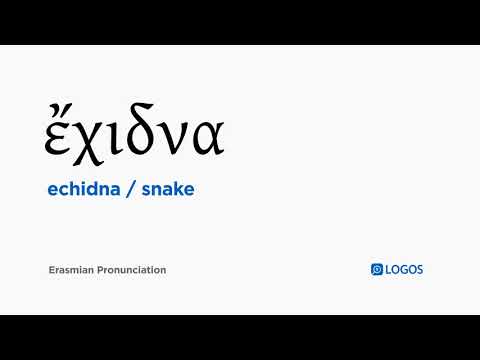 How to pronounce Echidna in Biblical Greek - (ἔχιδνα / snake)