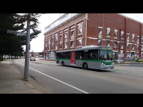 Transperth TP1550 & TP1682 @ Elder Place,Fremantle