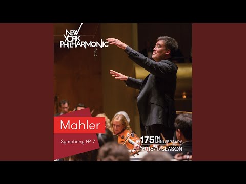 Symphony No. 7: V. Rondo - Finale