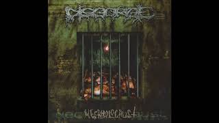 Disgorge - Ravenous Funeral Carnage