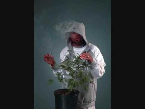 Capleton & Method Man - Wings Of The Morning