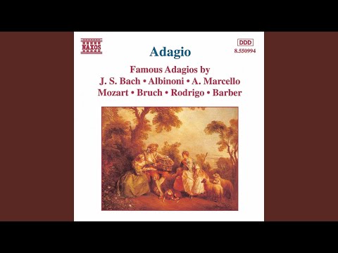 Konzert für Oboe d-Moll, Op. 9 Nr. 2: Oboe Concerto in D Minor, Op. 9, No. 2: II. Adagio