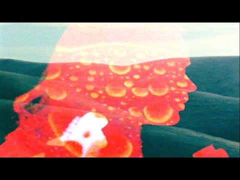 Druid Fluids - Out of Phase (Official Video)