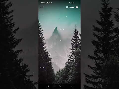 Winter Forest Live Wallpaper