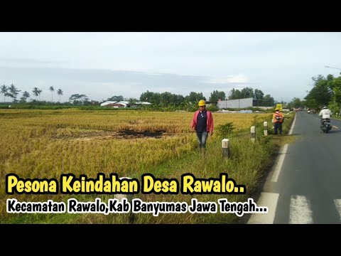 Rawalo ku
