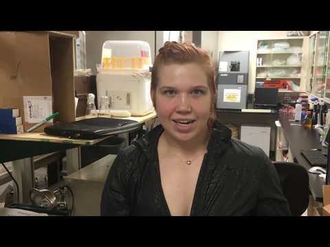 download lagu mp3 mp4 Sri Peaksimple, download lagu Sri Peaksimple gratis, unduh video klip Sri Peaksimple