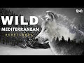 Wild Mediterranean E1 Heartlands Wildlife Documentary In Hindi Animal Planet