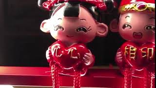 Where to Buy Wedding Good Luck Charms