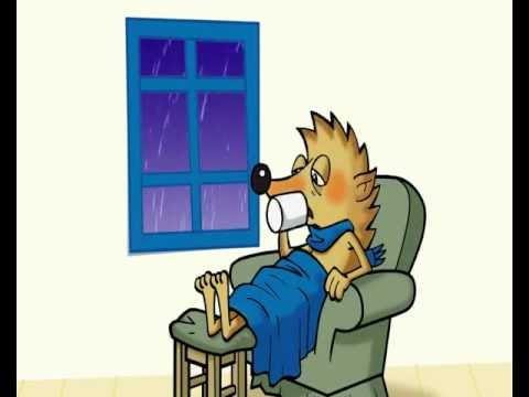 European Antibiotic Awareness Day - The Hedgehog Animation TV Spot