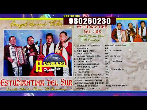 MIX HUAYNO PARINACOCHANO / ARPA Y VIOLIN - ESTUDIANTINA DEL SUR con HUAMANI Producciones / Coracora