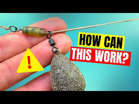 Which RIG Hooks The Carp BETTER? 🥇