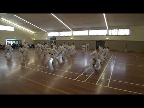 wrka soke kubota 2011 10 29 sess2 06a kata kime ni no kata