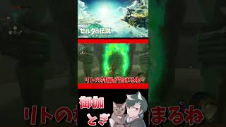 ゼル伝初心者が英雄になったあとの物語  185 #ゲーム実況 #shorts #short #ゲーム #ゼルダの伝説