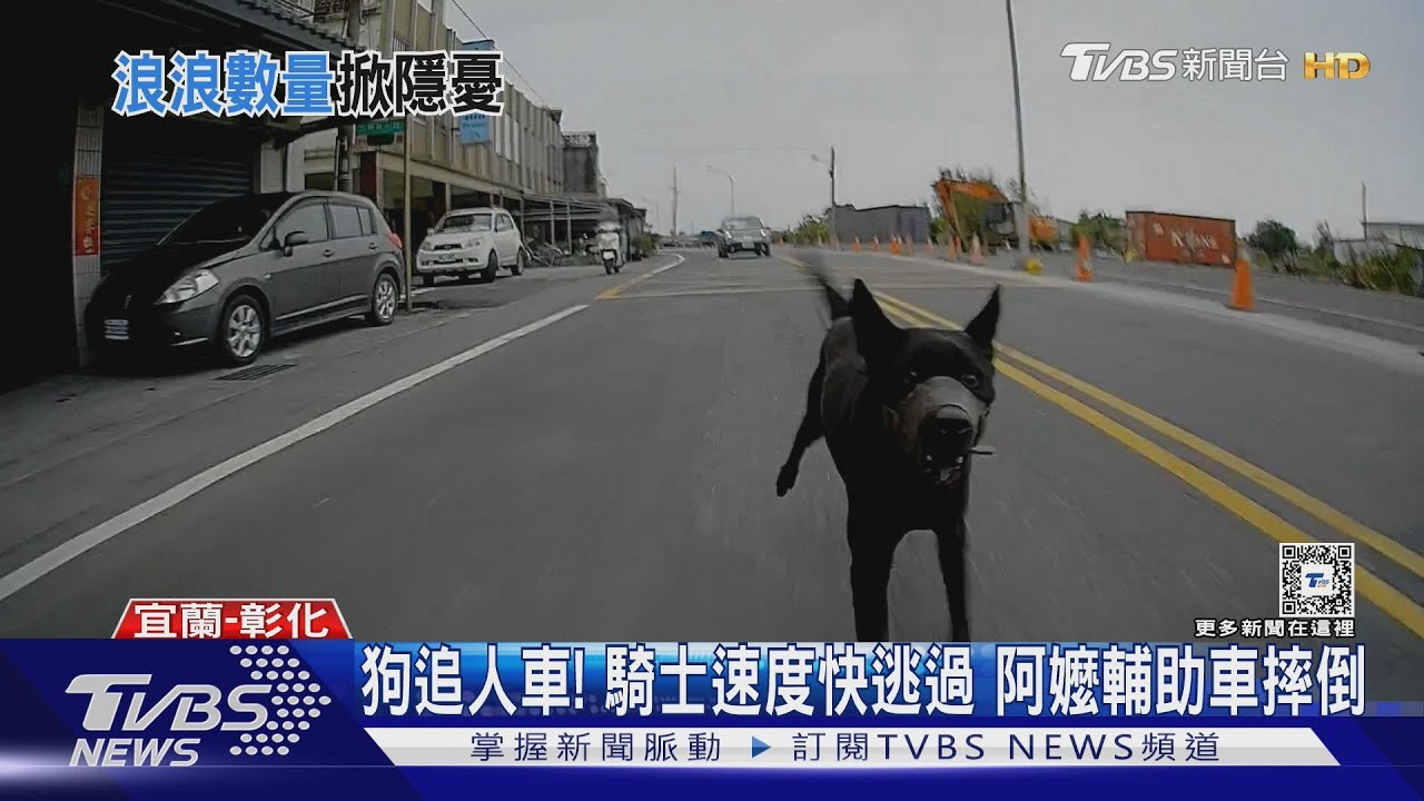 狗追人車!騎士速度快逃過 阿嬤輔助車摔倒