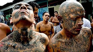 22 Pronunciations Of Manganese In British English