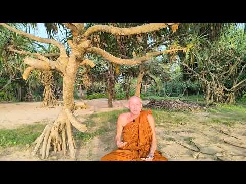 MONK's Q&A's SIMPLE BUDDHISM of ANICCA, DUKHA & ANATTA