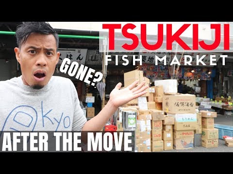 What NEW Tokyo Tsukiji Fish Market is like AFTER Toyosu MOVE | Street Food Gone!?