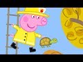 Peppa Pig Français Compilation D Une Heure 2 Dessin Animé Pour Enfant