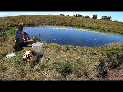 HERMOSA TARARIRA SE DIO POR 33 Y CERRO LARGO CAMPAMENTO 
