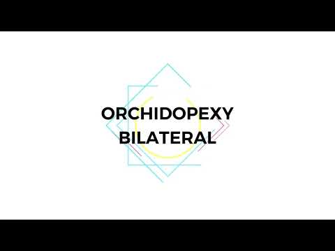 ORCHIDOPEXY BILATERAL