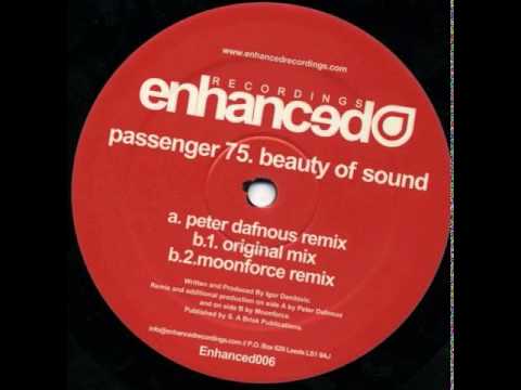 Passenger 75 - Beauty Of Sound (Peter Dafnous Remix)