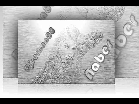 Djserkan80  ft.  Hande Yener - Naber  ( serkan edit 2015 mix )