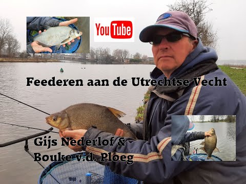 Vissen aan de Vecht