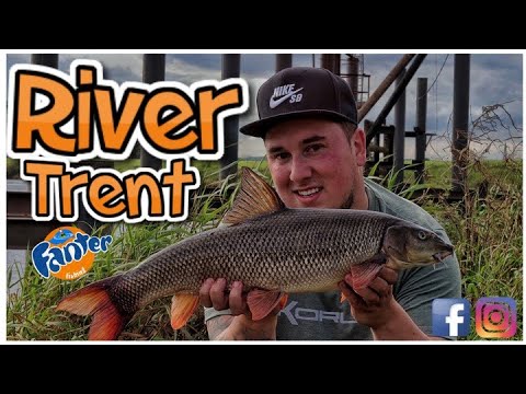 Tidal River Trent Barbel Fishing- Collingham Conveyor