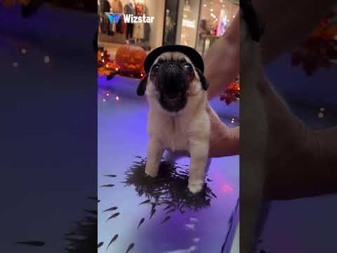 Lucas booked a fish spa… but wasn’t ready for the tiny tickles! 🐟🫧👻