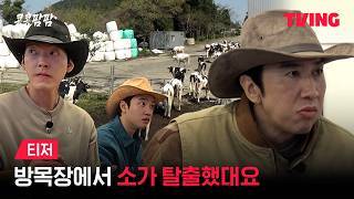 Download lagu [Kong Kong Farm] Wait, the cow did what...? 🐮💨 | Teaser | TVING mp3