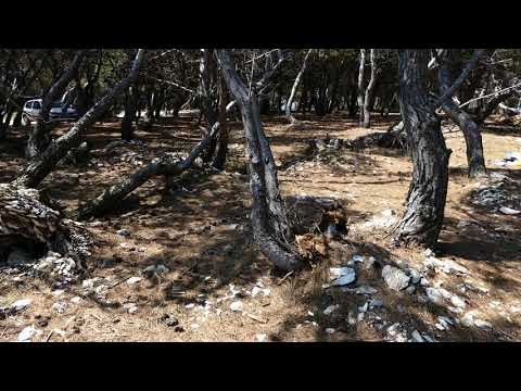 Premantura Kamenjak 4K Binaural part 1