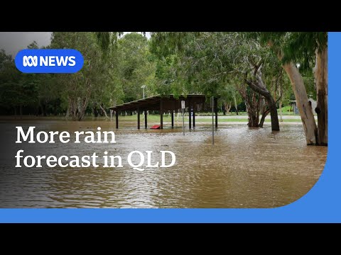 Multiple flood warnings remain in place across North Queensland | ABC NEWS
