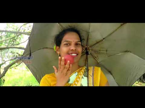 download lagu mp3 mp4 Palamarneri Panjayathu Videos, download lagu Palamarneri Panjayathu Videos gratis, unduh video klip Download Palamarneri Panjayathu Videos Mp3 dan Mp4 Full Gratis