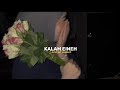 Sherine Kalam Eineh شيرين كلام عين Slowed Reverb