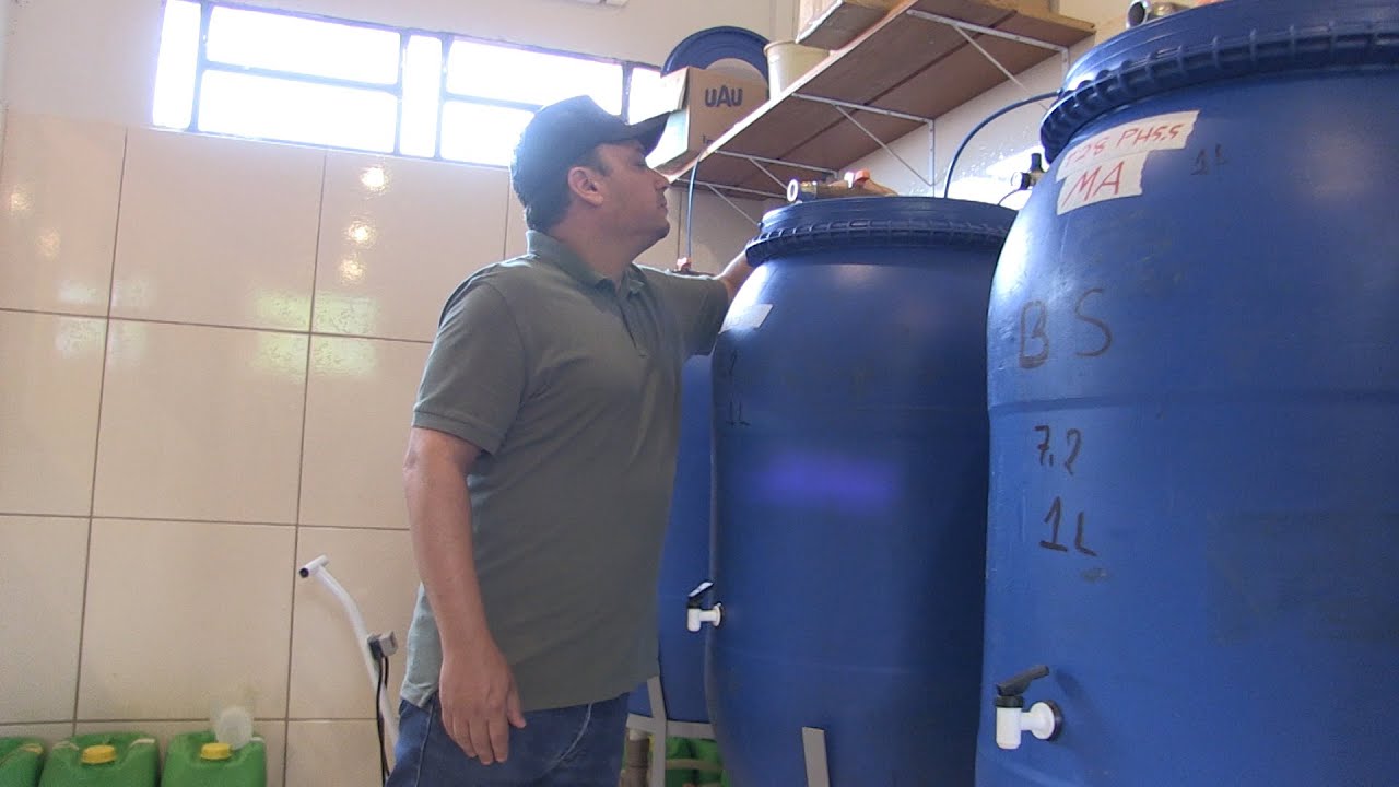 Bioinsumos trazem alternativas para a produção agrícola nacional